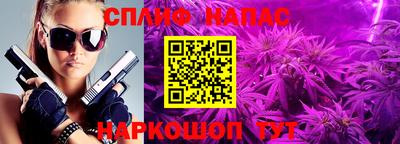 сатива Тверь
