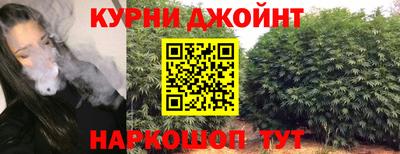 мдпв Тара