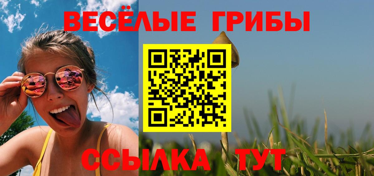 дарнет шоп  Вход с VPN  Богородск  Псилоцибиновые грибы Psilocybine cubensis 
